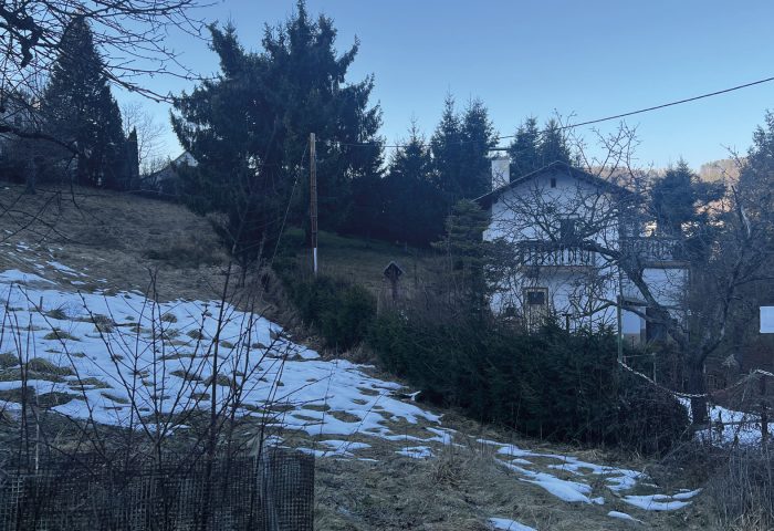 Projekt-Update: Erweiterung unseres Projektes in der Dominikanergasse!