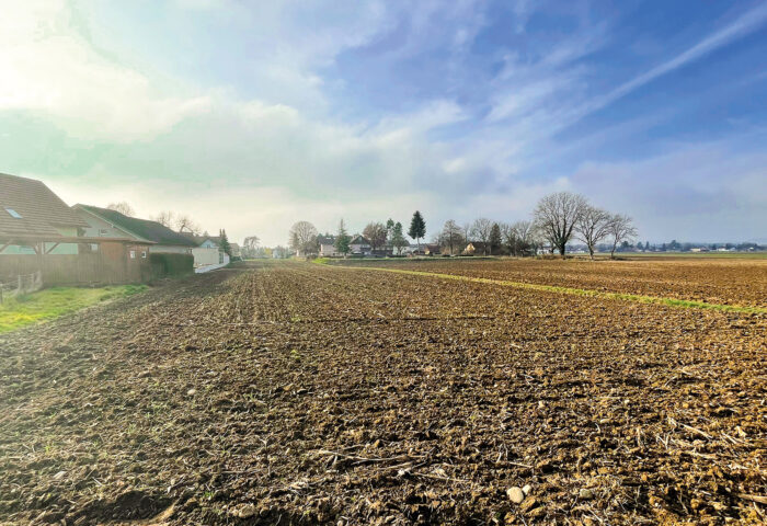 Wir entwickeln neue Baugrundstücke in Gralla!