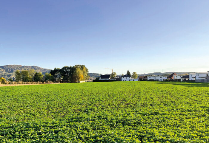 Bald neue Grundstücke in Weitendorf bei Wildon mit 0,4-Baudichte!