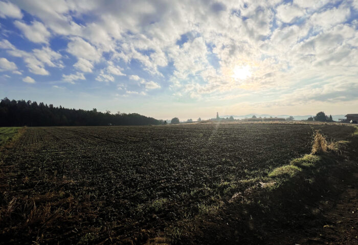 Wir entwickeln neue Baugrundstücke in Groß St. Florian!